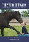 The Story of Figaro: The Story of My Real Black Stallion By Laura Luszczek Cover Image