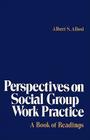 Perspectives on Social Group Work Practice By Albert S. Alissi Cover Image