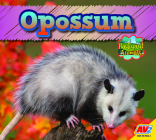 Opossum (Backyard Animals) By Jordan McGill Cover Image