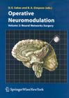 Operative Neuromodulation: Volume 2: Neural Networks Surgery (ACTA Neurochirurgica Supplement #97) By Damianos E. Sakas (Editor), Brian A. Simpson (Editor) Cover Image