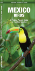 Mexico Birds: A Folding Pocket Guide to Familiar Species (Pocket Naturalist Guide) By James Kavanagh, Waterford Press, Raymond Leung (Illustrator) Cover Image