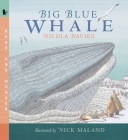 Big Blue Whale: Read and Wonder Cover Image