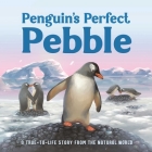 Penguin's Perfect Pebble: A True-to-Life Story from the Natural World, Ages 5 & Up By IglooBooks, Jenny Palmer-Fettig (Illustrator) Cover Image