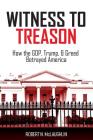 Witness to Treason: How the GOP, Trump, & Greed Betrayed America By Robert N. McLaughlin, Helene McKelvey-McLaughlin (Designed by) Cover Image