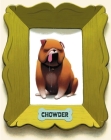 Chowder (A Chowder Book) By Peter Brown Cover Image