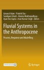Fluvial Systems in the Anthropocene: Process, Response and Modelling Cover Image