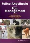 Feline Anesthesia and Pain Management By Paulo Steagall (Editor), Sheilah A. Robertson (Editor), Polly Taylor (Editor) Cover Image