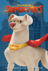 DC League of Super-Pets: The Deluxe Junior Novelization (DC League of Super-Pets Movie): Includes 8-page full-color insert and poster! By Random House Cover Image