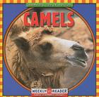 Camels (Animals I See at the Zoo) By JoAnn Early Macken Cover Image