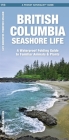 British Columbia Seashore Life: A Waterproof Folding Pocket Guide to Familiar Animals & Plants By Waterford Press, Raymond Leung (Illustrator) Cover Image