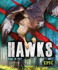Hawks: Birds of Prey By Nathan Sommer Cover Image