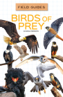 Birds of Prey (Field Guides) By Andrea Debbink Cover Image
