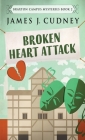 Broken Heart Attack Cover Image