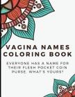 Vagina Names Coloring Book: Everyone has a Name for their Flesh Pocket Coin Purse. What's Your's? Funny and Humor Filled Color Book with Naughty W By Funnyreign Com Peterson Cover Image