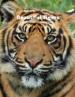 Beautiful Tigers Full-Color Picture Book: Big Cats Picture Book for Children, Seniors and Alzheimer's Patients -Nature Animals Wildlife By Fabulous Book Press Cover Image