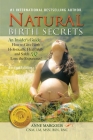 Natural Birth Secrets: An Insider's Guide...How to Give Birth Holistically, Healthfully and Safely, & Love the Experience! Cover Image