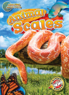 Animal Scales By Mari C. Schuh Cover Image