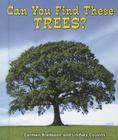 Can You Find These Trees? (All about Nature) By Carmen Bredeson, Lindsey Cousins Cover Image