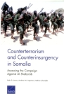 Counterterrorism and Counterinsurgency in Somalia: Assessing the Campaign Against Al-Shaba'ab By Seth G. Jones, Andrew M. Liepman, Nathan Chandler Cover Image