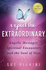 Expect the Extraordinary: Angelic Messages, Spiritual Encounters and the Soul of Skye By Sue Pighini, Hobie Hobart (Consultant), Kathi Dunn (Cover Design by) Cover Image