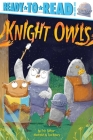 Knight Owls: Ready-to-Read Pre-Level 1 By Eric Seltzer, Tom Disbury (Illustrator) Cover Image