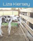 They Call Me Junior: Story of a young paint horse Cover Image