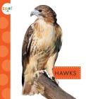 Hawks (Spot Backyard Animals) By Mari Schuh Cover Image