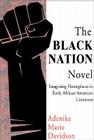 Black Nation Novel: Imagining Homeplaces in Early African-American Literature Cover Image