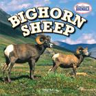 Bighorn Sheep (American Animals) By Meryl Magby Cover Image
