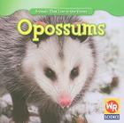 Opossums (Animals That Live in the Forest (Second Edition)) By JoAnn Early Macken Cover Image