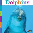 Seedlings: Dolphins By Kate Riggs Cover Image