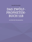Das Zwölf-Propheten-Buch 11b: am Ende der Sonnenzeiten By Harald Schneider Cover Image