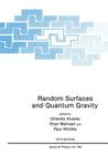 Random Surfaces and Quantum Gravity (NATO Science Series B: #262) By Orlando Alvarez (Editor), Enzo Marinari (Editor), Paul Windey (Editor) Cover Image