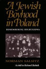 A Jewish Boyhood in Poland: Remembering Kolbuszowa By Norman Salsitz Cover Image