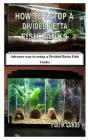How to Satup a Divided Betta Fish Tanks: Advance way to setup a Divided Betta Fish Tanks By Patrik Lukas Cover Image