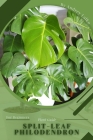 Split-Leaf Philodendron: Plant Guide Cover Image