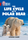 Collins Big Cat – The Life Cycle of a Polar Bear: Band 14/Ruby Cover Image