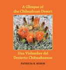 A Glimpse of the Chihuahuan Desert/Una Vislumbre del Desierto Chihuahuense By Patricia R. Mihok, Caiti Steele (Calligrapher), Donna Yargosz (Translator) Cover Image