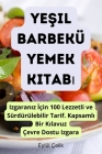 Yeşil Barbekü Yemek Kitabı By Eylül Çelik Cover Image