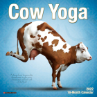 Cow Yoga 2022 Mini Wall Calendar Cover Image