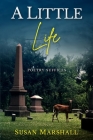 A Little Life Cover Image