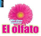 El Olfato Cover Image