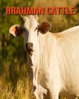 Brahman Cattle: Fun Learning Facts About Brahman Cattle By Trina Devlin Cover Image