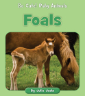 Foals Cover Image