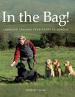 In the Bag!: Labrador Training from Puppy to Gundog By Margaret Allen Cover Image