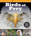 Birds of Prey (Visual Explorers Series) By Toby Reynolds, Paul Calver Cover Image