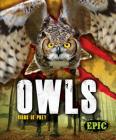 Owls (Birds of Prey) By Nathan Sommer Cover Image