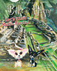 Let's Visit Machu Picchu!: Adventures of Bella & Harry By Lisa Manzione, Kristine Lucco (Illustrator) Cover Image