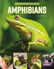 Amphibians By Tracy Vonder Brink Cover Image