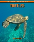 Turtles: Fun Facts Book for Children By Sue Porter Cover Image
